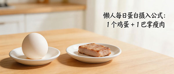 懒人每日蛋白摄入公式